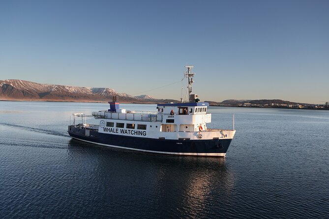 New Years Fireworks by Boat from Reykjavik - Dress Like It’s -18°C: Your Real Performance Plan