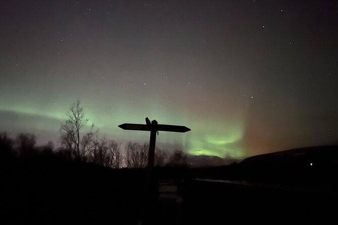 Northern Lights ATV Quad Adventure from Reykjavik - Single ride vs double ride: choosing your comfort and control
