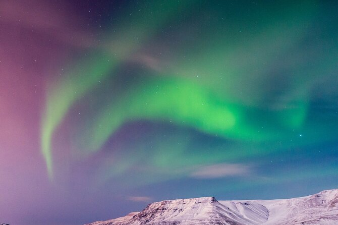 Northern Lights Boat Cruise from Reykjavik - Who this tour is best for (and who should think twice)