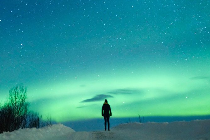 Northern Lights Bus Tour from Reykjavik with Hot Chocolate - The reality check: odds, cloud cover, and the free rebook option