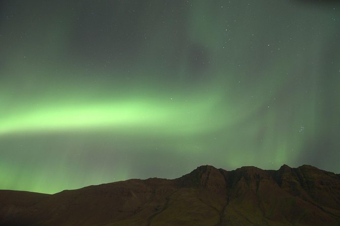 Northern Lights Cruise from Downtown Reykjavik - Getting to Elding Whale Watching: start and end right in Reykjavik