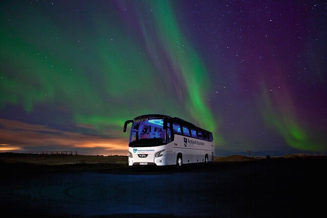 Northern Lights Guided Bus Tour from Reykjavik - Reliability and Service: What I’d Take Seriously