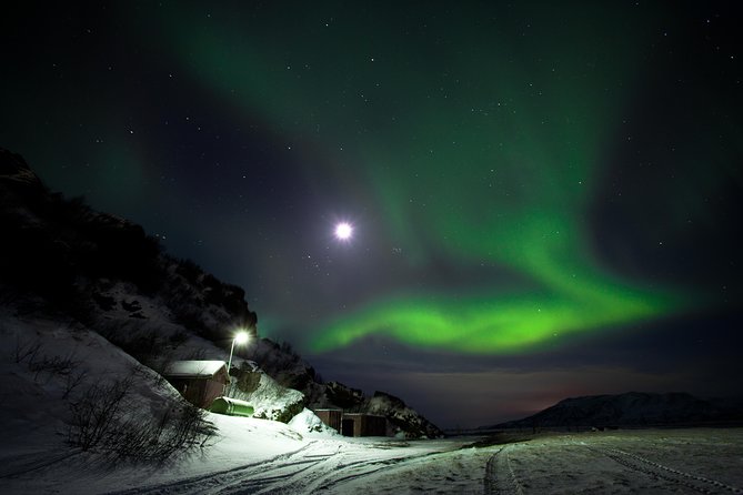 Northern Lights Minibus Tour with Hot Cocoa, Blankets & Photos - Northern Lights in a 4-Hour Minibus: What the Night Is Like