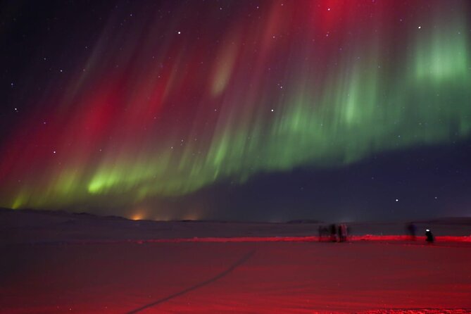 Northern Lights Private Tour from Reykjavik - Comfort, Tech, and Guide Support That You’ll Actually Notice