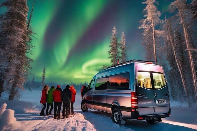Northern Lights Small Group Tour from Reykjavik - Who should book this northern lights tour from Reykjavik?