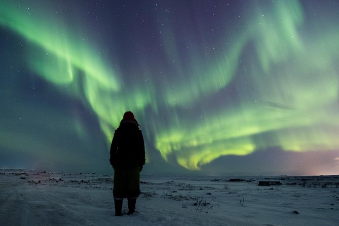 Northern Lights Small Group Tour from Reykjavik with Free Photos - The Reykjanes Peninsula stop: where the aurora hunt becomes real