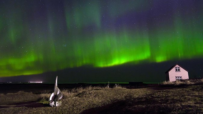 Northern Lights Tour from Reykjavik with Lifetime Guarantee - Why a guided aurora hunt beats winging it