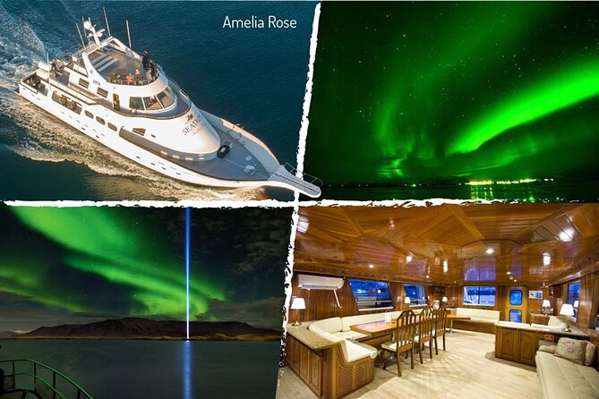 Northern Lights Yacht Cruise in Reykjavik - Wildlife spotting adds meaning when the sky is quiet