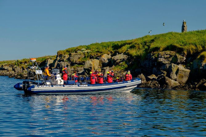 Premium Small-Group Puffin & Bird Watching tour from Reykjavík - RIB Boat Tactics: Silent Approaches and That Fast, Tight Sailing