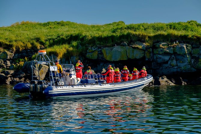 Premium Small-Group Puffin & Bird Watching tour from Reykjavík - Guide Stories on the Water: What You’ll Learn While You Watch
