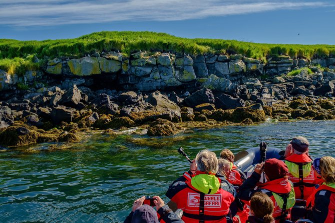 Premium Small-Group Puffin & Bird Watching tour from Reykjavík - Who This Tour Suits—and Who Might Want Another Option