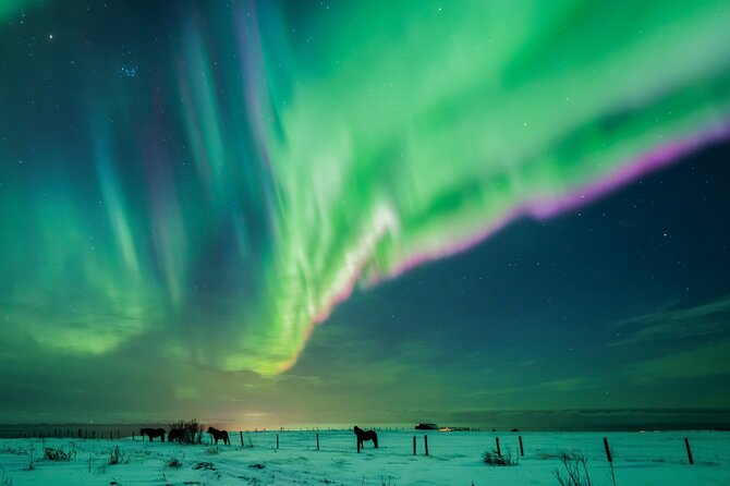 Private Aurora Hunt with Photos in Super Defender - Price and value for a group of up to 5