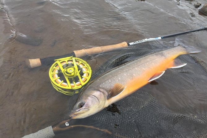 Private Fishing Tour from Reykjavik - Arctic Char and Brown Trout - Weather and season reality check: what cold or rain can change