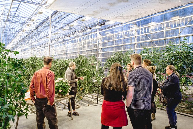 Private Golden Circle, Sky Lagoon and Friðheimar Greenhouse Lunch - Price and value: $3,215 per group up to 2