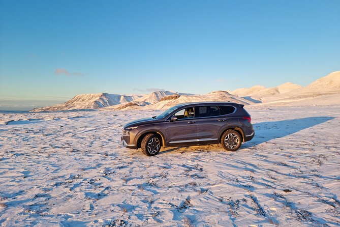 Private Golden Circle Tour - Crowds, weather, and the “good day” formula