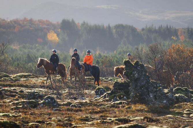 Private Icelandic Horseback Ride: Matched to Skill Level - Key Highlights You’ll Actually Care About