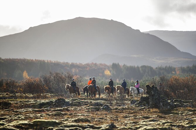 Private Icelandic Horseback Ride: Matched to Skill Level - A 50-Minute Horse Ride That Feels Close to Home