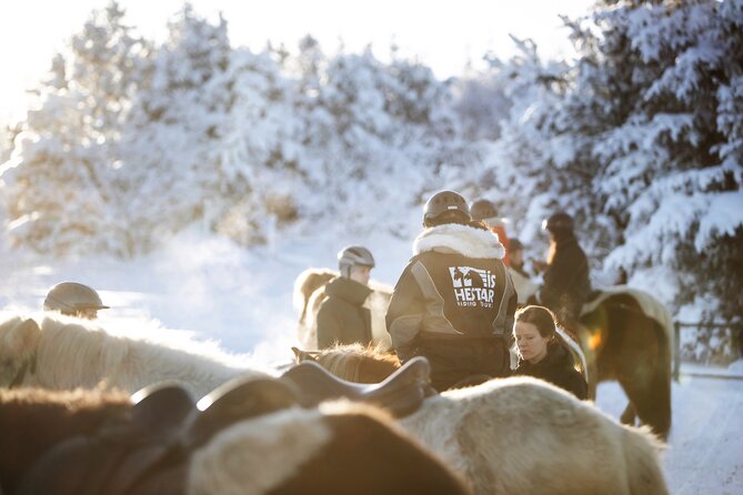 Private Icelandic Horseback Ride: Matched to Skill Level - Horses and Guide Support: Friendly, Professional, and Practical