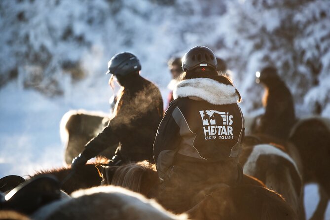 Private Icelandic Horseback Ride: Matched to Skill Level - Getting On and Off: The One Body Rule You Should Not Ignore