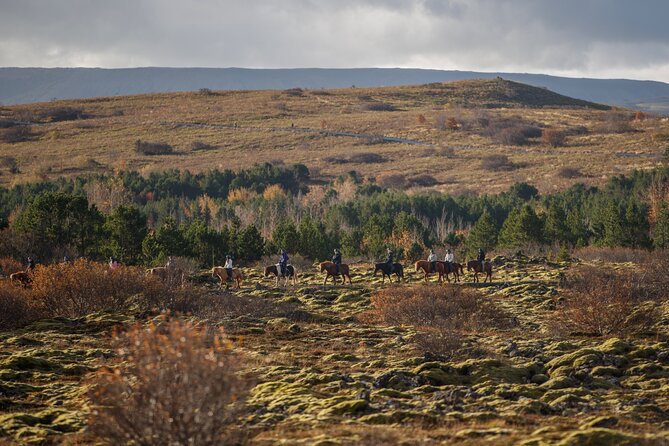 Private Icelandic Horseback Ride: Matched to Skill Level - Price and Value: Why $210.51 Can Make Sense