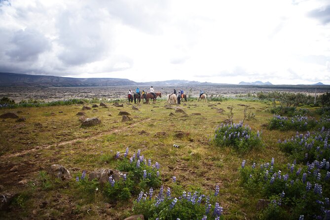 Private Icelandic Horseback Ride: Matched to Skill Level - Weather and Timing: The Only Real Detour Risk
