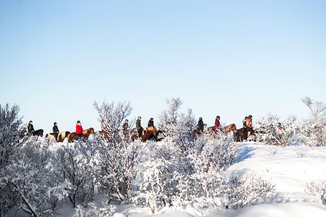 Private Icelandic Horseback Ride: Matched to Skill Level - Meet at Sörlaskeið 26: The Start Spot and Why It’s Convenient