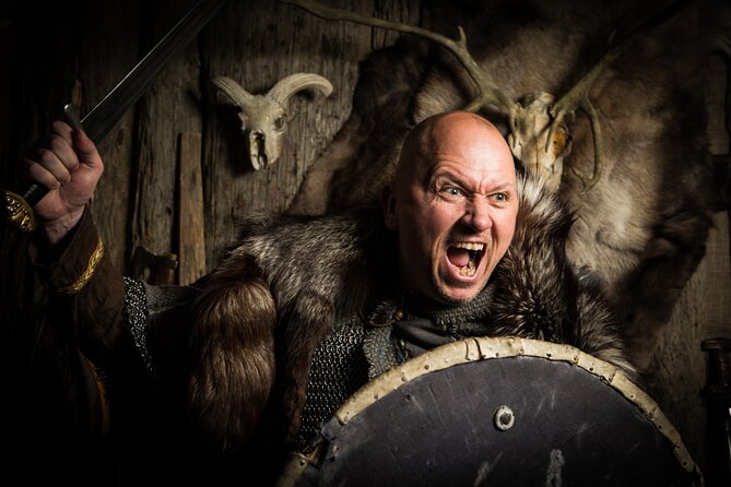 Private Icelandic Viking Age Walking Tour - Price and value: what you get for $227.12 per person