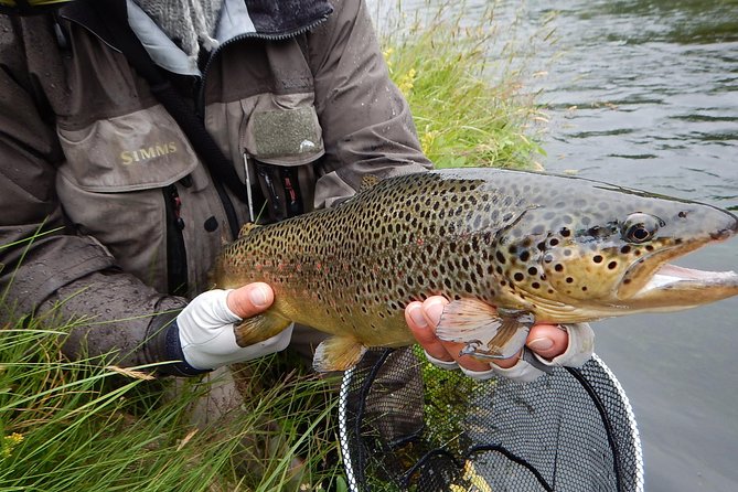 Private Lake and River Fishing Tour from Reykjavik - Price and Value for a Full-Day Private Tour