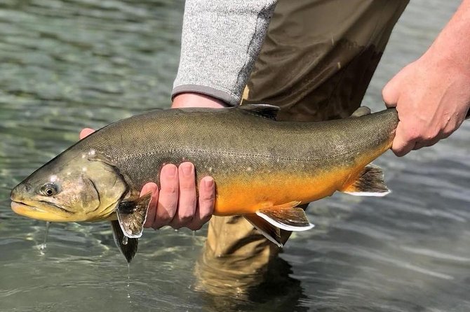 Private Lake and River Fishing Tour from Reykjavik - Five Hours on the River: Arctic Char and Brown Trout Time