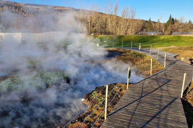 Private Northern Lights Adventure With Secret Lagoon and Dinner - Dinner With a Family-Run Restaurant: Warm Food Before the Cold Sky