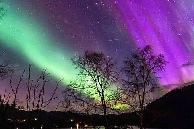 Private Northern Lights Tour from Reykjavik - Where the Tour Heads: The West Region Stop and Why “Dark Sky” Matters