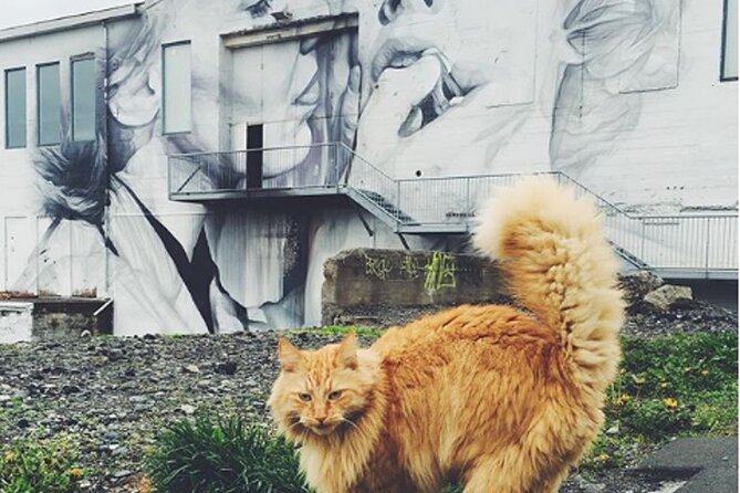 Private Reykjavik Cat Walking Tour - Ending near Einar Jónsson’s sculpture garden