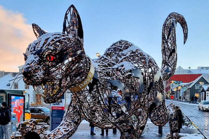 Private Reykjavik Cat Walking Tour - Price, timing, and what you’re really paying for