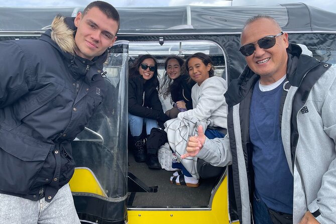 Private Reykjavík Tuk Tuk – City Highlights Tour - Price and Value for a Private Group of Up to 4
