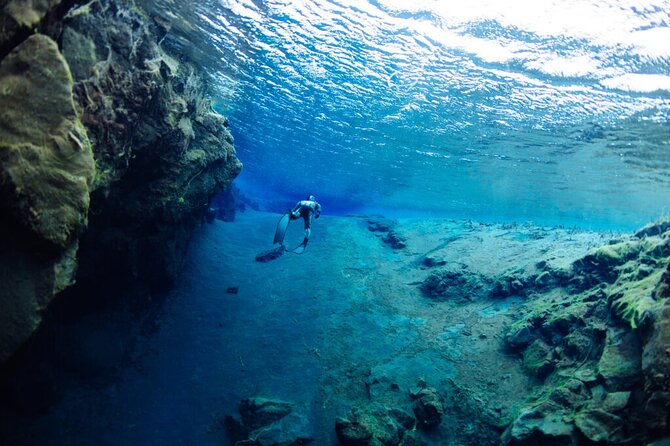 Private Silfra Freedive Tour - Price and value: what $1,339.77 per group really buys