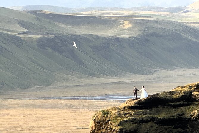 Private South Coast tour - Dyrhólaey: 120-meter views, black sand, and puffin-season odds