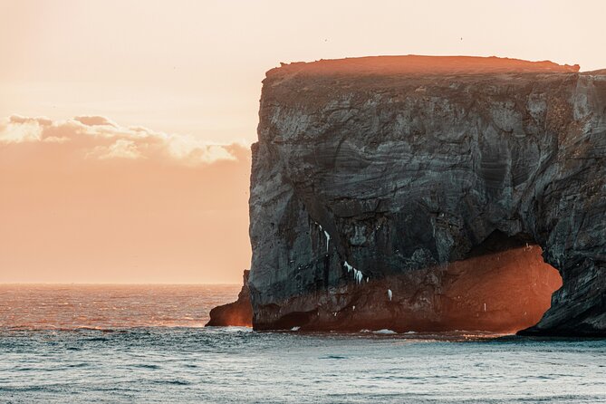 Private South Coast Tour: A Journey to Iceland’s Stunning Shore - Your Driver-Guide and the Comfort Details That Actually Help
