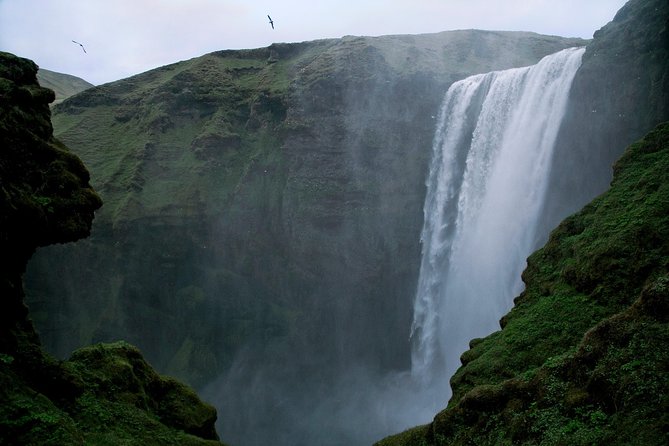 Private South Coast tour in Iceland - Seljalandsfoss: walk behind a 60-meter waterfall