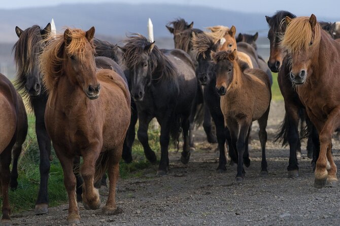 Private Tour: South Coast of Iceland by SUV or Van from Reykjavik - Urridafoss: the quick warm-up stop that still pays off