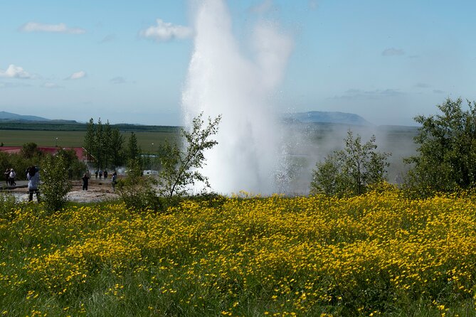 Private Visit Golden Circle Essentials - Who this Golden Circle essentials tour suits best