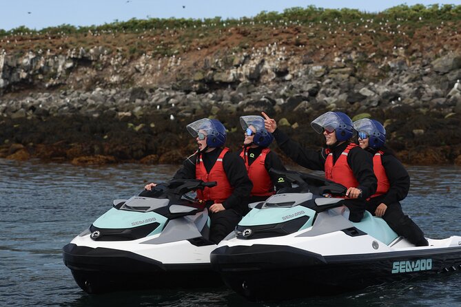 Puffin Jet ski tour in Reykjavík - Cruise Route Highlights: From Videy to Puffins and Back