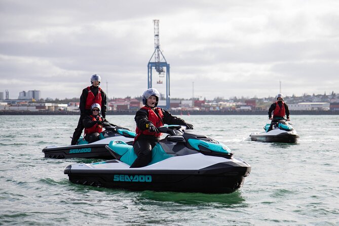 Puffin Jet ski tour in Reykjavík - Harpa Concert Hall and Reykjavík From the Bay: Why the City Works Here