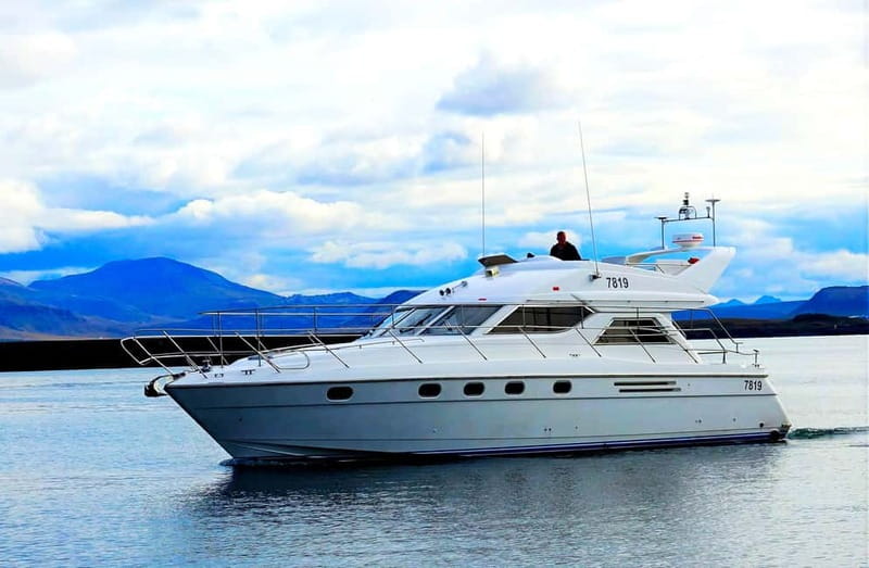 Puffin Watching Yacht Cruise from Downtown Reykjavík - Reykjavík Coastline and Mount Esja Views in One Hour