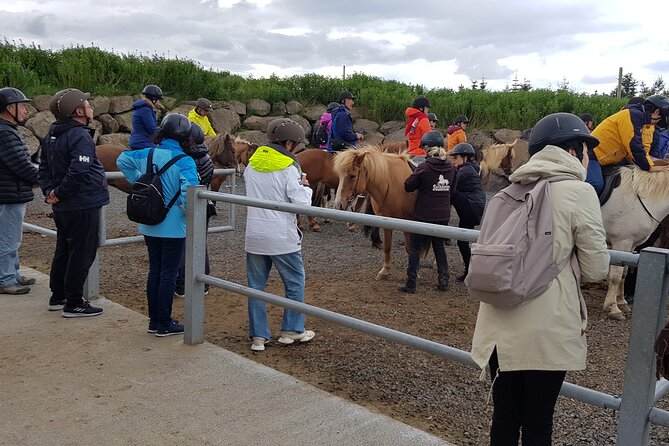 Red Lava Horse Riding Tour From Reykjavik - Stop 1 at Solhestar: Horse matching plus the weather kit you’ll be glad you brought