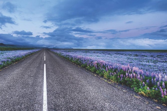 Rent Unlimited High Speed pocket Wifi in Iceland - Local Support: What You Gain Beyond Just Internet