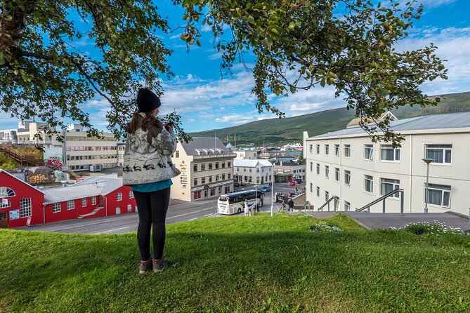 Revel in Reykjavik: Unveiling Iceland’s Charismatic Capital - A Tight, Smart Two Hours That Gives You Bearings