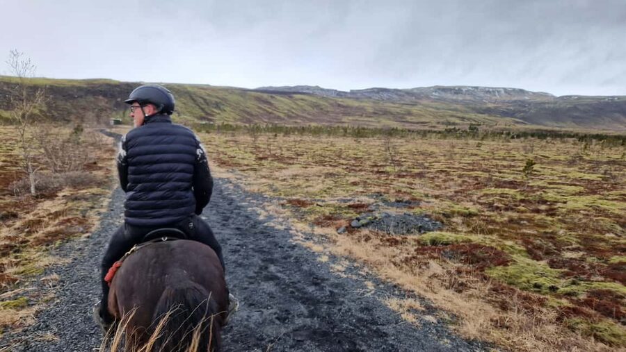 Reykjadalur: Horseback Riding Tour for Families & Beginners - Entering the Reykjadalur area: views and pacing that work for families
