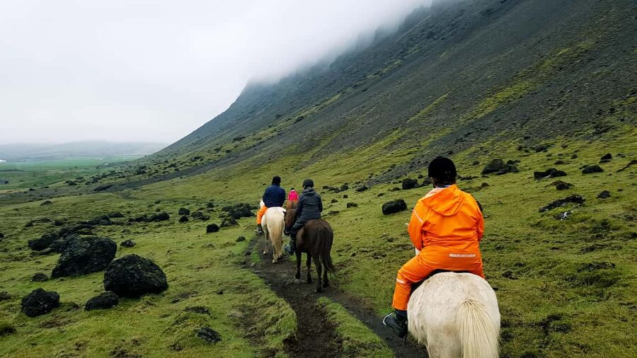 Reykjadalur: Horseback Riding Tour for Families & Beginners - Where to meet and how early to arrive