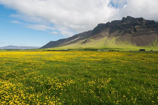 Reykjanes peninsula - Private tour value: small group, pickup, and a guide who sets the tempo