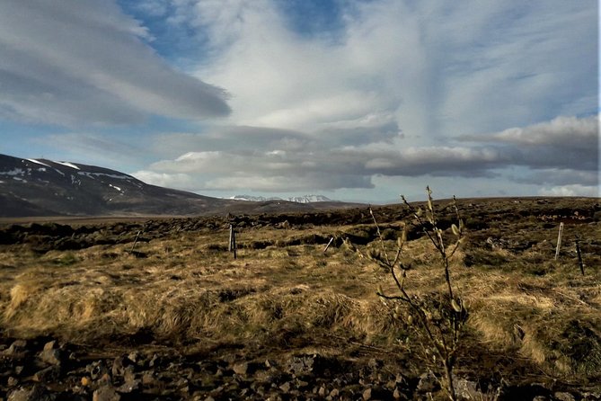 Reykjanes peninsula- Geopark and much more. Private tour - Reykjanes Geopark: Why this half-day feels like more than a drive